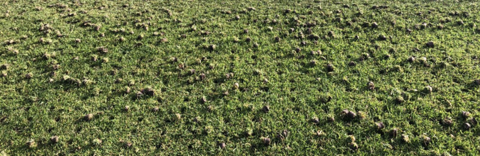 Aertaion and seeding