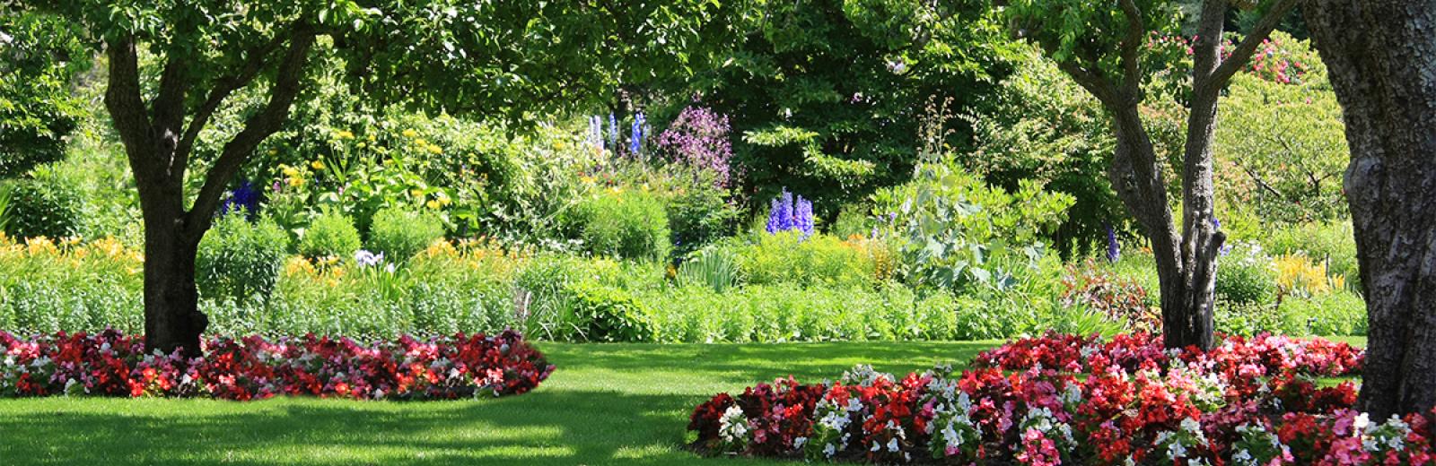 flower beds with large trees and pink and red flowers