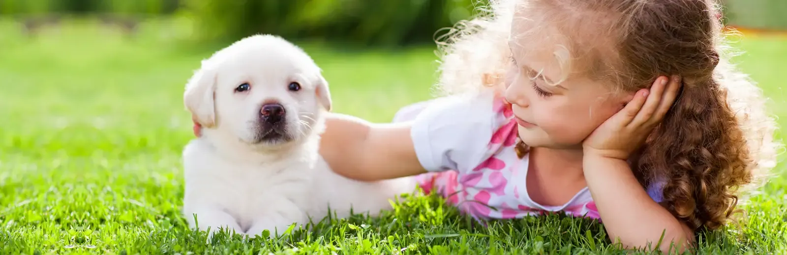 Lawn care, girl and dog laying in grass playing
